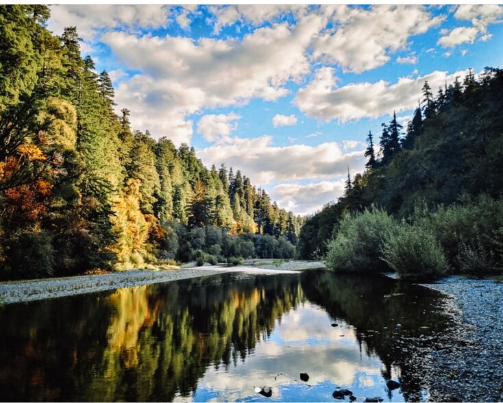 More Photos Of 455 Boy Scout Rd, Myers Flat Trailer Camper Park For Sale