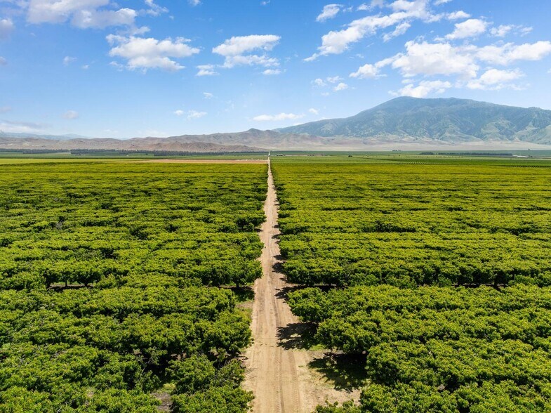 More Photos Of 0 Rock Pile Road, Arvin Land For Sale