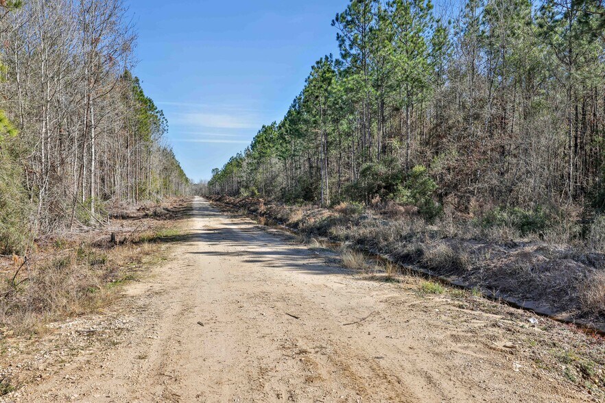 More Photos Of 0000 Hwy105 Hwy, Sour Lake Land For Sale