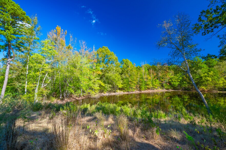 More Photos Of 391 Farm to Market 1519, Scroggins Land For Sale