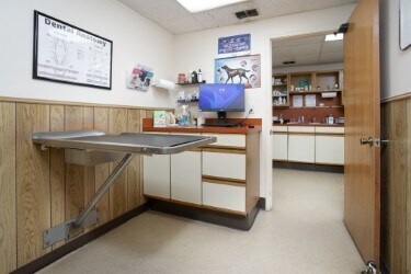 More Photos Of 18421 Old Jacksonville Hwy, Flint Veterinarian Kennel For Sale