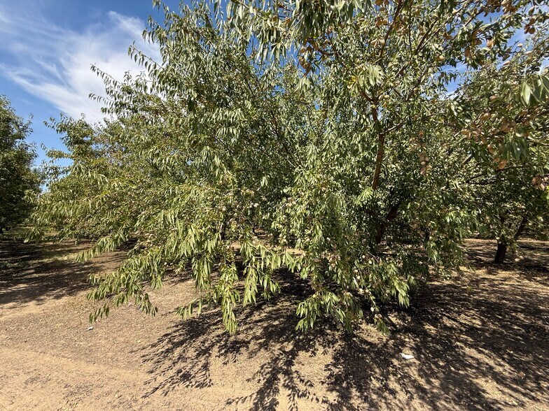 More Photos Of Yosemite Blvd @ Root Rd, Modesto Land For Sale