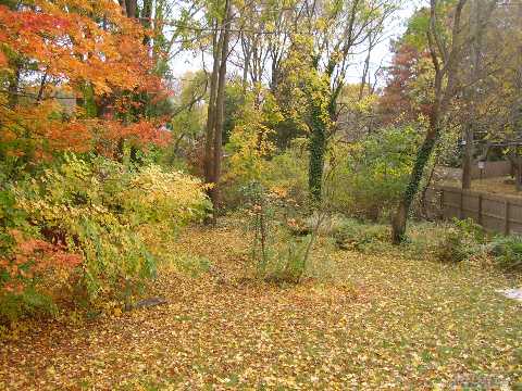 More Photos Of 88 Terry Rd, Smithtown Office For Sale