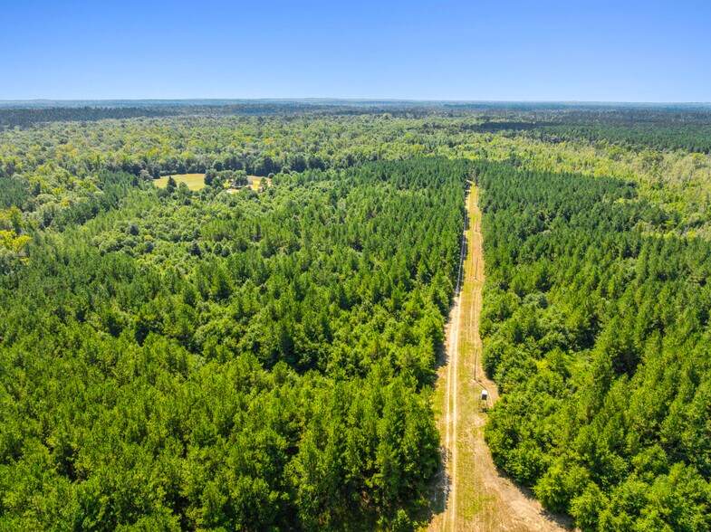 More Photos Of 7471 Highway 155, Saline Land For Sale