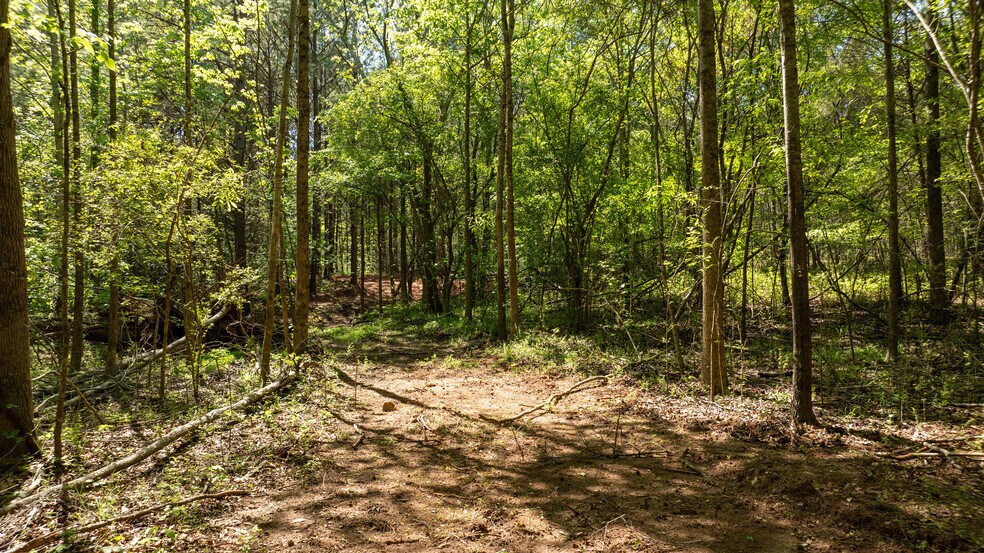 More Photos Of Lexington/Baldwin Park, Lagrange Land For Sale