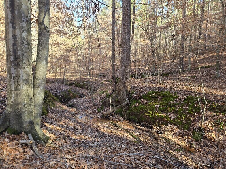 More Photos Of Hwy 109 N @ Cobb Street, Wadesboro Land For Sale