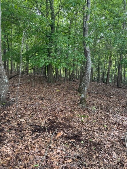 More Photos Of 357 Linwood dr, Gainesville Land For Sale