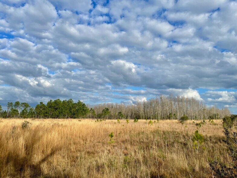 More Photos Of 19858 State Road 52, Land O' Lakes Land For Sale