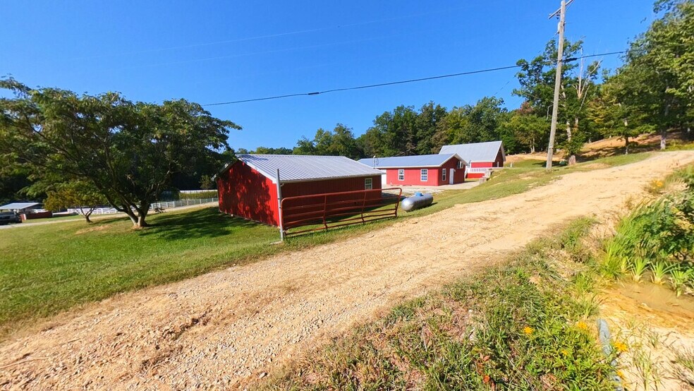 More Photos Of 851 Webb Ln, Olive Hill Land For Sale