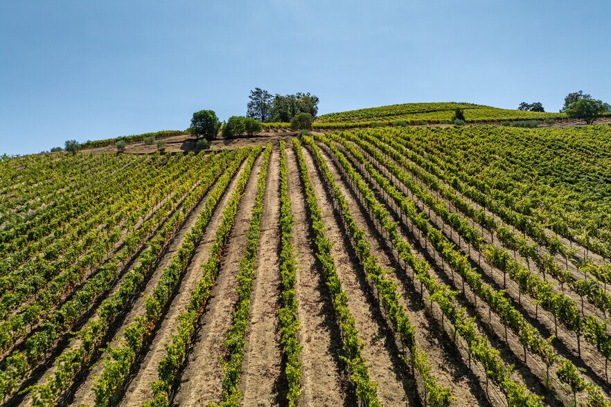 More Photos Of 13700 Rockpile Rd, Geyserville Land For Sale