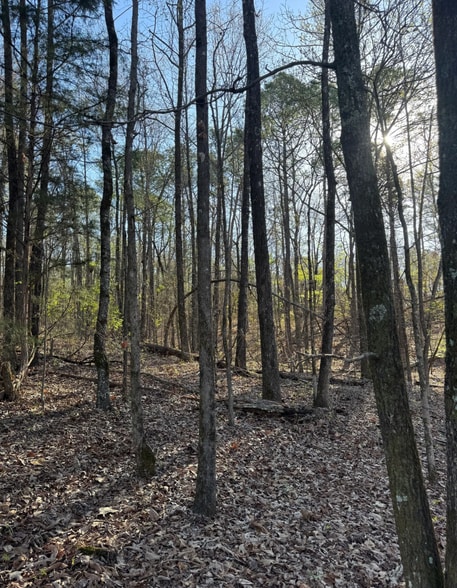 More Photos Of 53 Acres On George Roy Pky, Calera Land For Sale