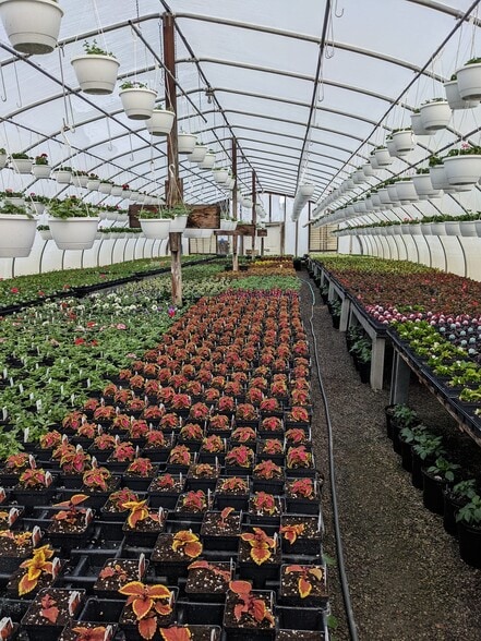 More Photos Of 73 Little York Rd, Warwick Garden Center For Sale