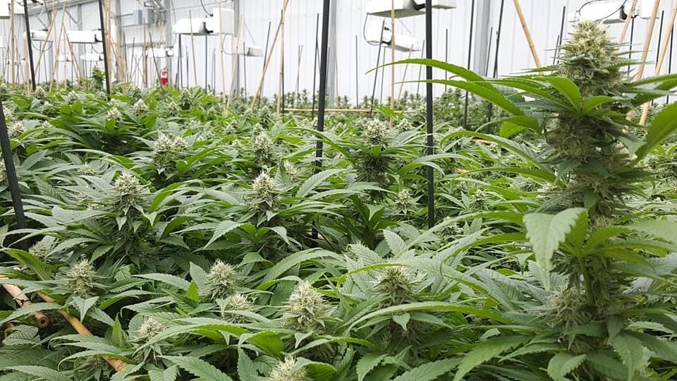 More Photos Of 2340 Bennett Rd, Rye Specialty For Sale