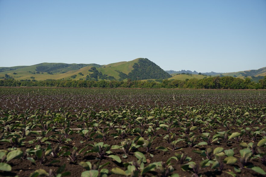More Photos Of 0 Highway 25, Gilroy Land For Sale