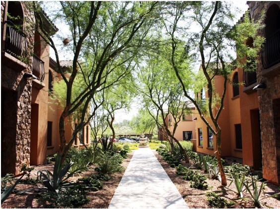 More Photos Of 1176 E Warner Rd, Gilbert Office For Lease