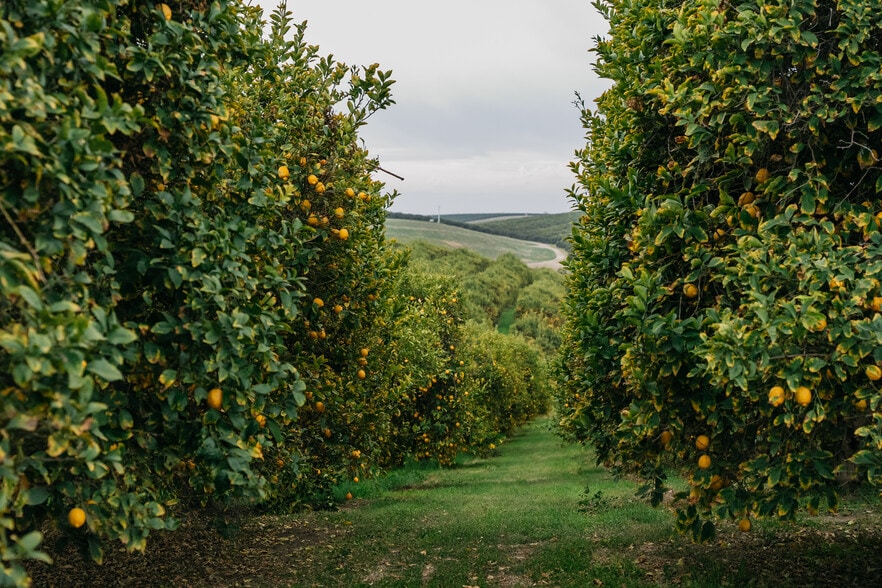 More Photos Of 14265 Highway 65, Bakersfield Land For Sale