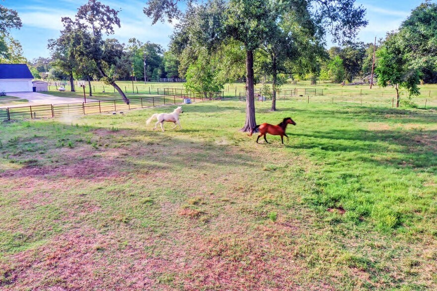 More Photos Of 23707 Sanders Cemetery Rd, Magnolia Land For Sale