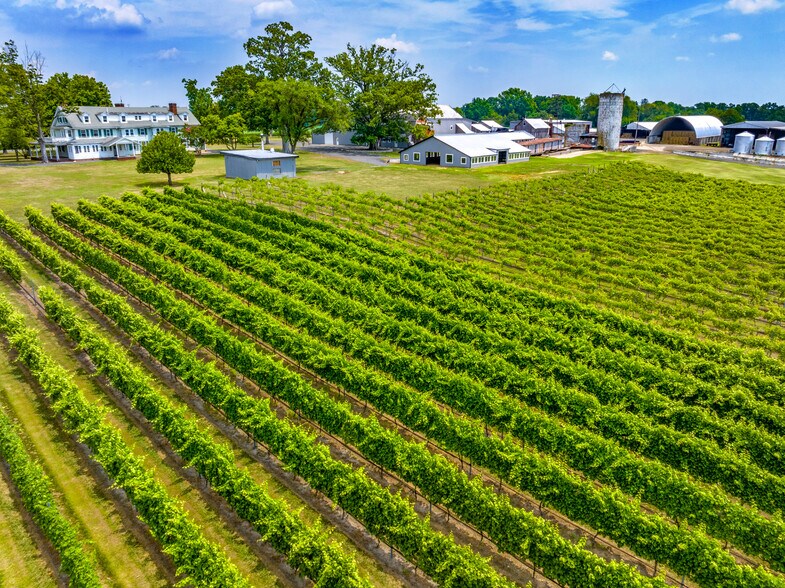 More Photos Of 27058 Mount Pleasant Rd, Columbus Winery Vineyard For Sale