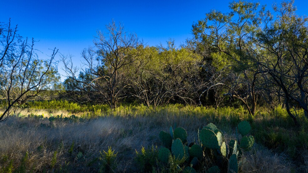 More Photos Of 7499 US 87 hwy, Mason Land For Sale