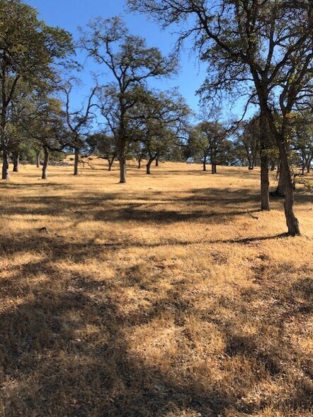More Photos Of 1484 Oregon Gulch, Oroville Land For Sale