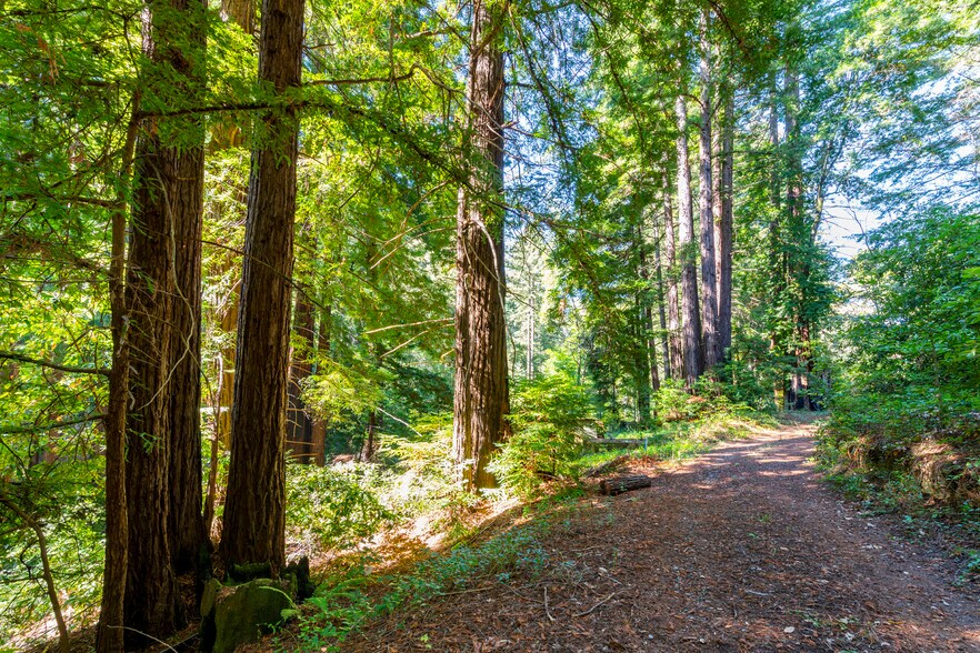 More Photos Of 2372 McKenzie Creek rd, Scotts Valley Land For Sale