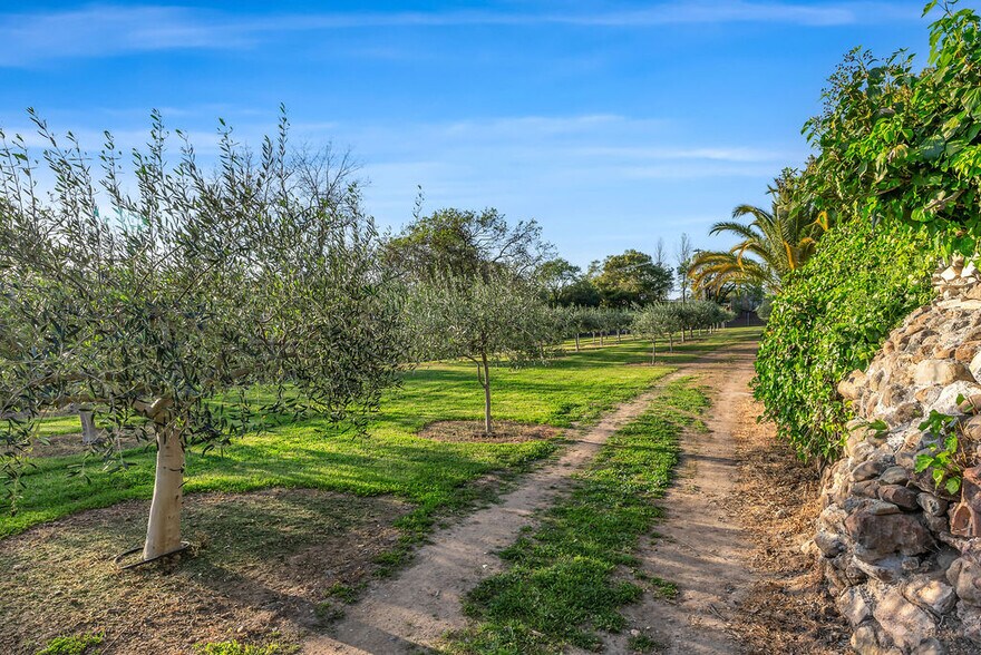 More Photos Of 19357 Sonoma Hwy, Sonoma Land For Sale