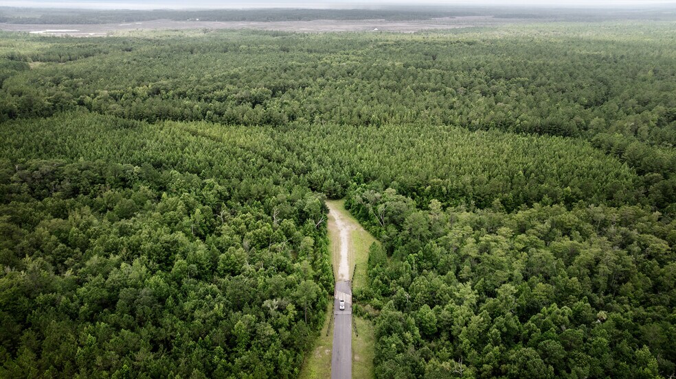 More Photos Of 0 Iron Safe Road Rd, Brunswick Land For Sale
