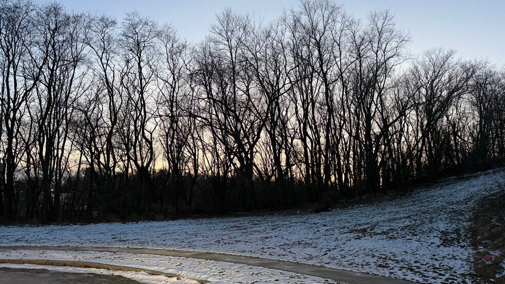 More Photos Of , Albany Land For Sale