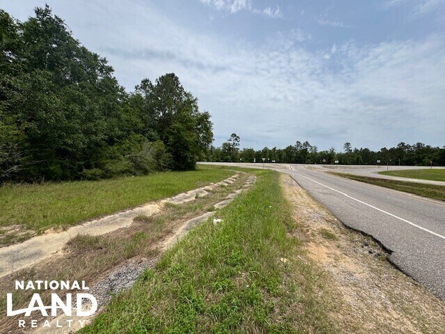 More Photos Of 0 Dead Lake Rd., Creola Land For Sale