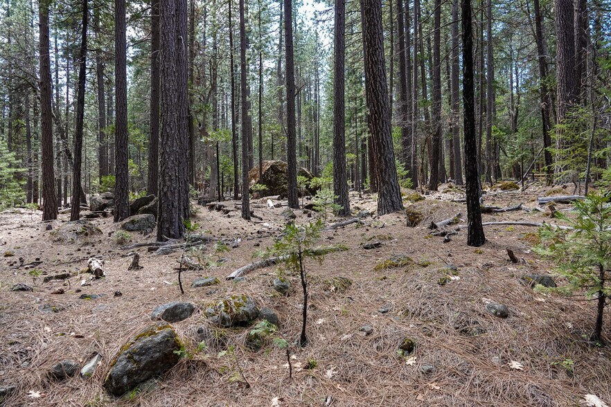 More Photos Of 9936 Sniktaw Ln, Fort Jones Land For Sale