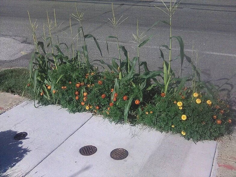 More Photos Of 2038 Grant Ave, Philadelphia Specialty For Sale