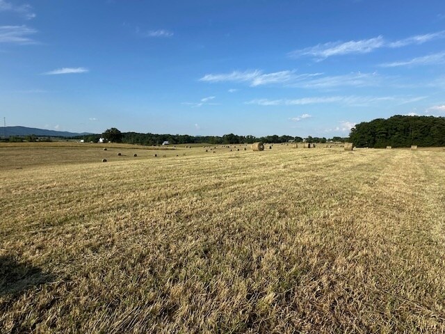 More Photos Of Flatwoods Road, Mosheim Land For Sale