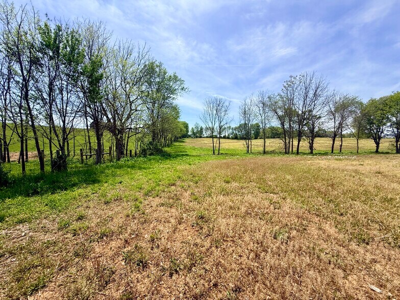 More Photos Of 4132 KY Highway 36 W, Cynthiana Land For Sale