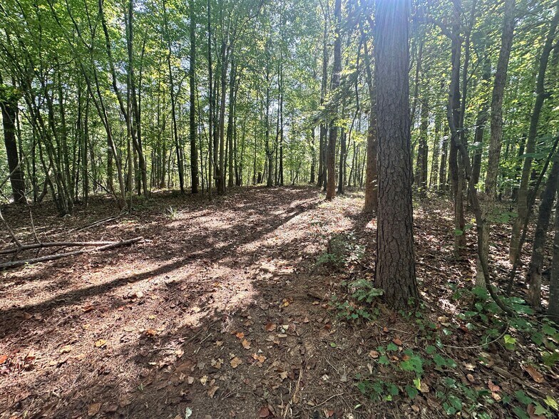 More Photos Of 00 Frix Rd, Cumming Land For Sale