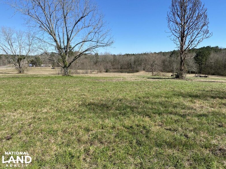 More Photos Of 7918 US-98, Sumrall Land For Sale