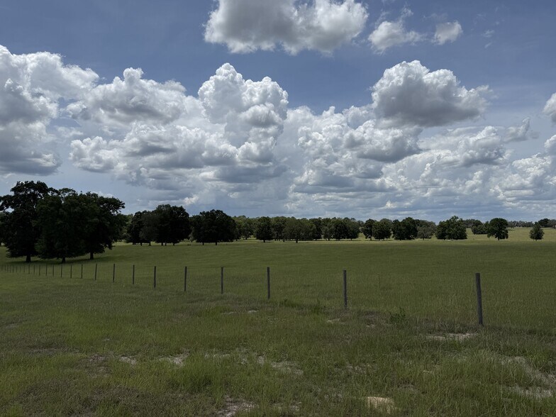 More Photos Of Highway 328 West, Dunnellon Land For Sale