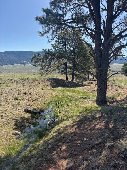 More Photos Of 27989 Highway 64, Eagle Nest Land For Sale