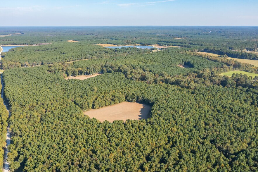 More Photos Of 18618 Hwy 43, Linden Land For Sale