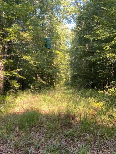 More Photos Of Airline Rd., Dubach Land For Sale