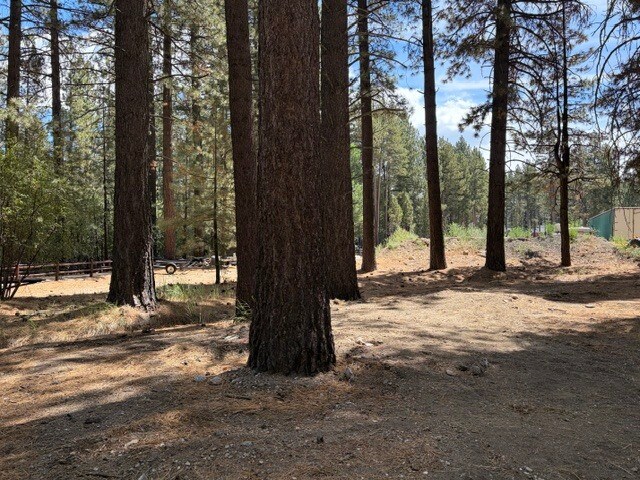 More Photos Of 42280 Moonridge Rd, Big Bear Lake Land For Sale