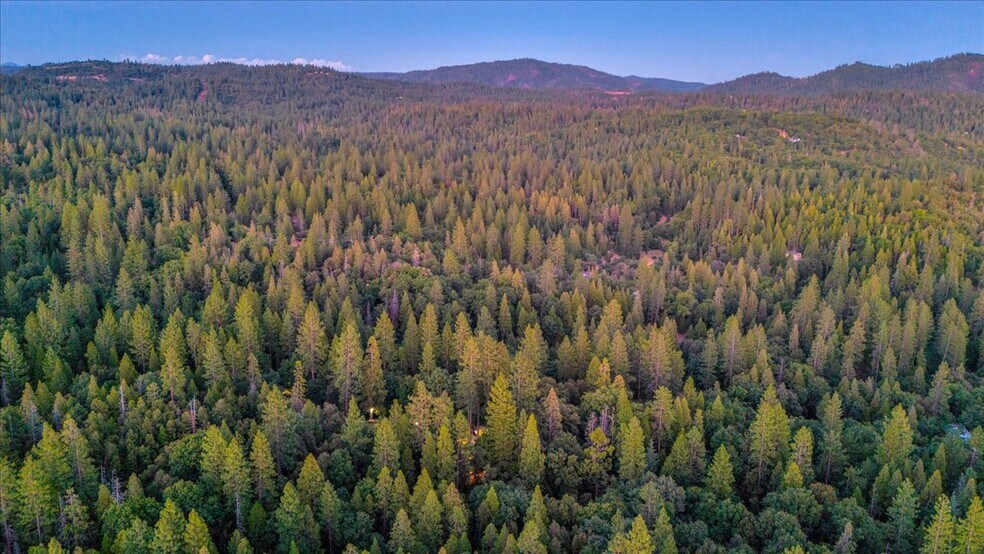 More Photos Of 22732 Middle Camp rd, Sonora Hotel For Sale