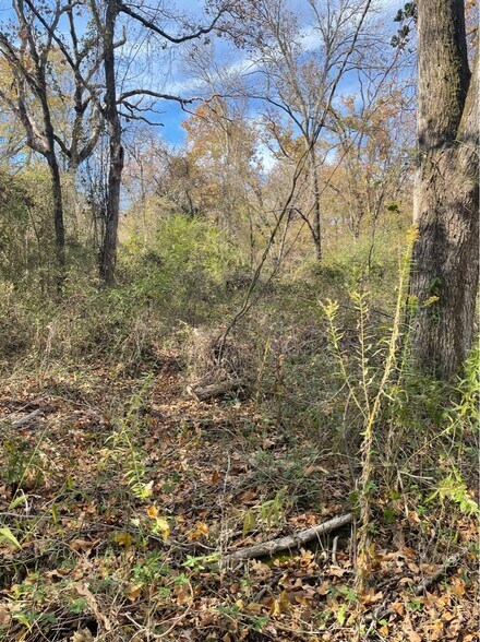 More Photos Of 1155 VZ County 1415 rd, Van Land For Sale