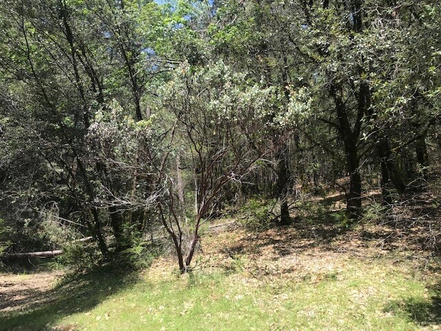 More Photos Of Canyon Creek Drive -1 @ Canyon Way, Colfax Land For Sale