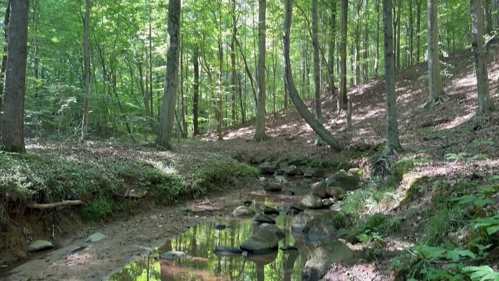 Primary Photo Of 400 Eden Church rd, Madison Land For Sale