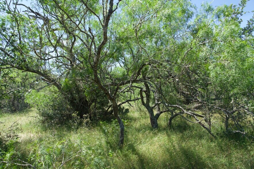 More Photos Of 00 Taylorsville Rd, Red Rock Land For Sale