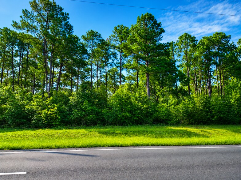 Primary Photo Of 1004 Philema Rd, Albany Land For Sale