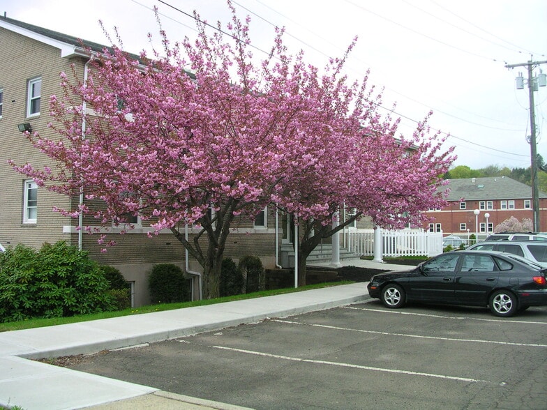 More Photos Of 295-299 Washington Ave, Hamden Medical For Lease