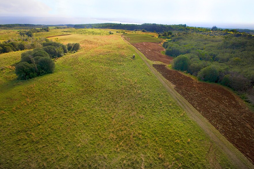 More Photos Of 27-5159 Puia Rd, Papaikou Land For Sale