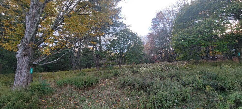 More Photos Of 1195 State Route 17B, Bethel Land For Sale