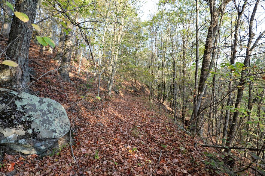 More Photos Of TBD NY-28, Phoenicia Land For Sale